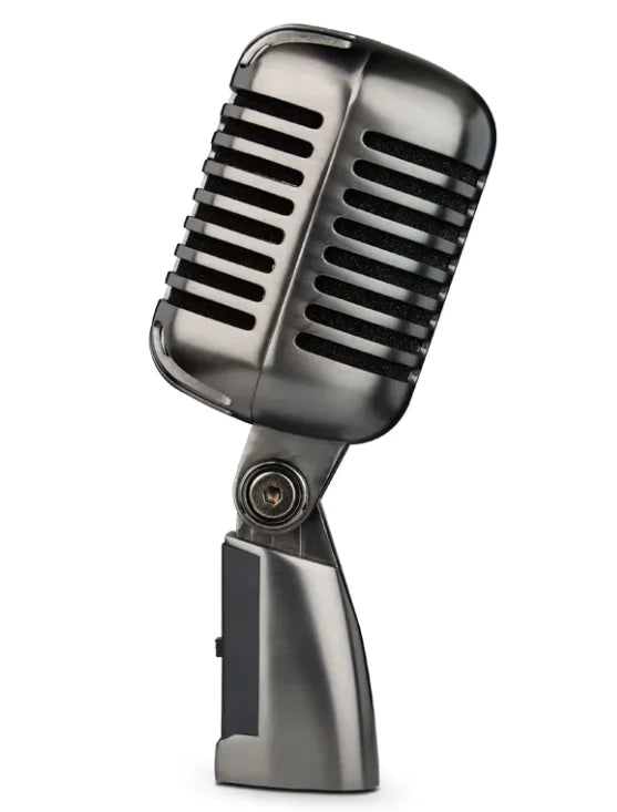 Professional Retro Condenser Microphone