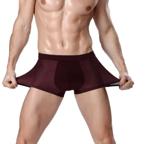 Men's Ice Silk Mesh U-Convex Boxer Briefs