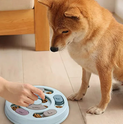 Dog Puzzle Feeding Bowls