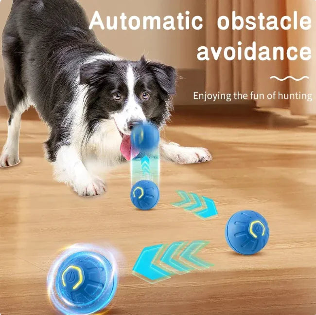 Interactive Bouncing Ball – USB Rechargeable Pet Toy