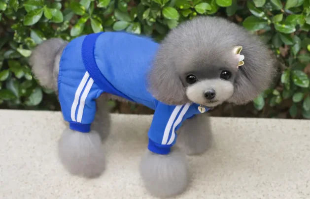 Pet Cotton Clothing